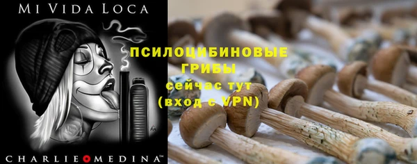 кокаин премиум Няндома
