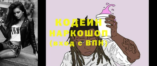 СК Новозыбков