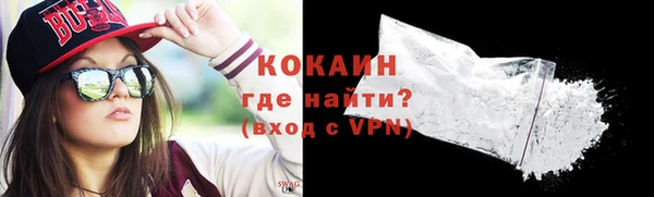СК Новозыбков