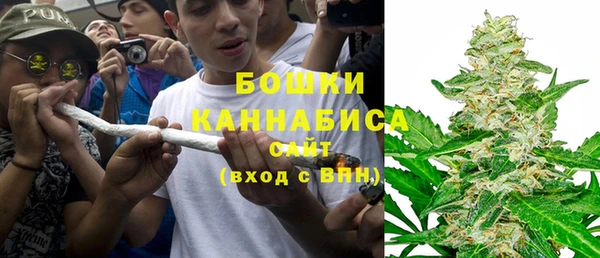 PSILOCYBIN Горно-Алтайск
