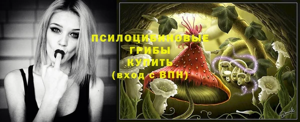 СК Новозыбков