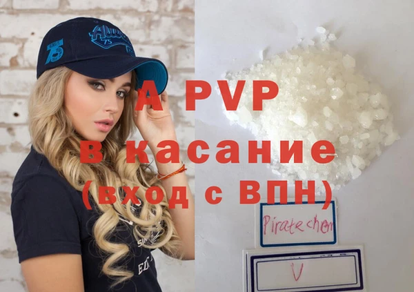 амф Гусиноозёрск