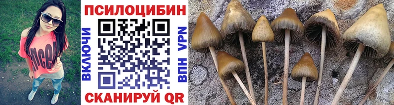 даркнет состав Соль-Илецк Галлюциногенные грибы Cubensis