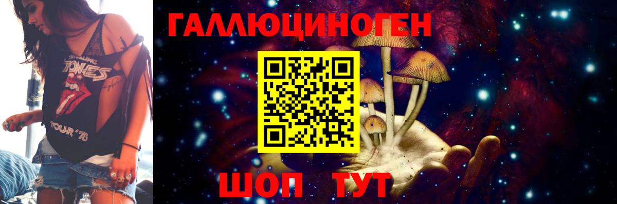 Соль-Илецк  Псилоцибиновые грибы прущие грибы  Вход с VPN 
